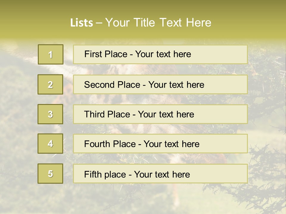 Tier Africa Big PowerPoint Template