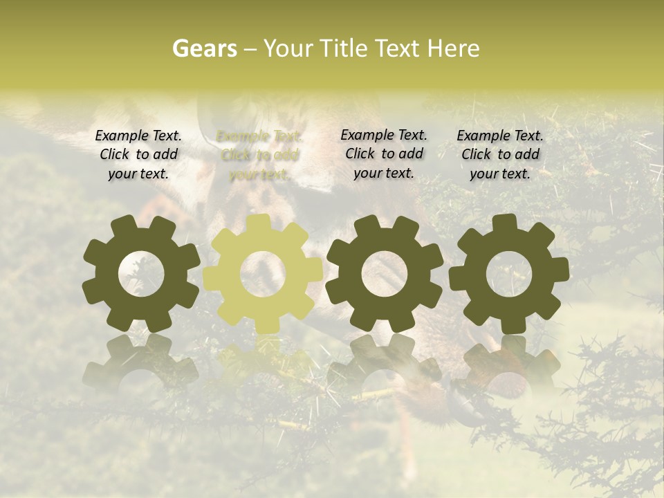 Tier Africa Big PowerPoint Template