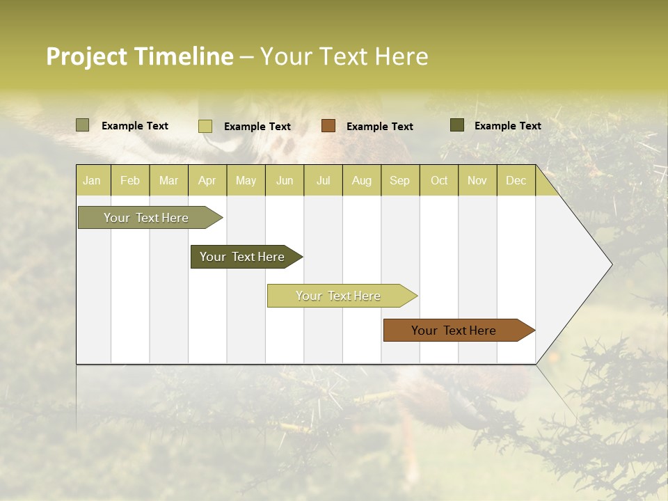 Tier Africa Big PowerPoint Template