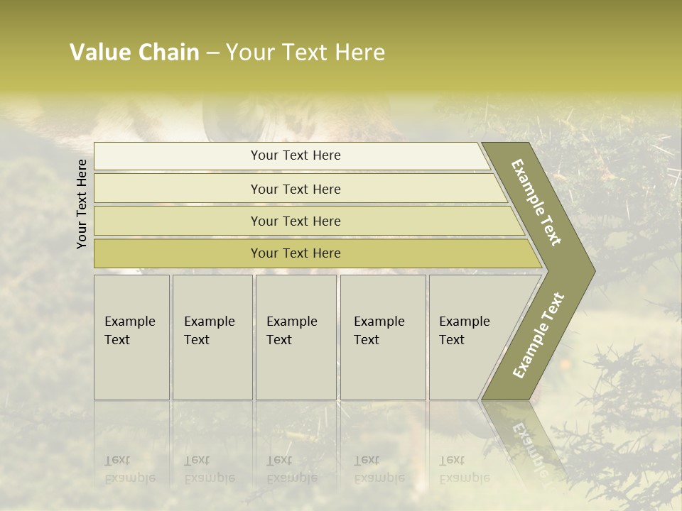 Tier Africa Big PowerPoint Template