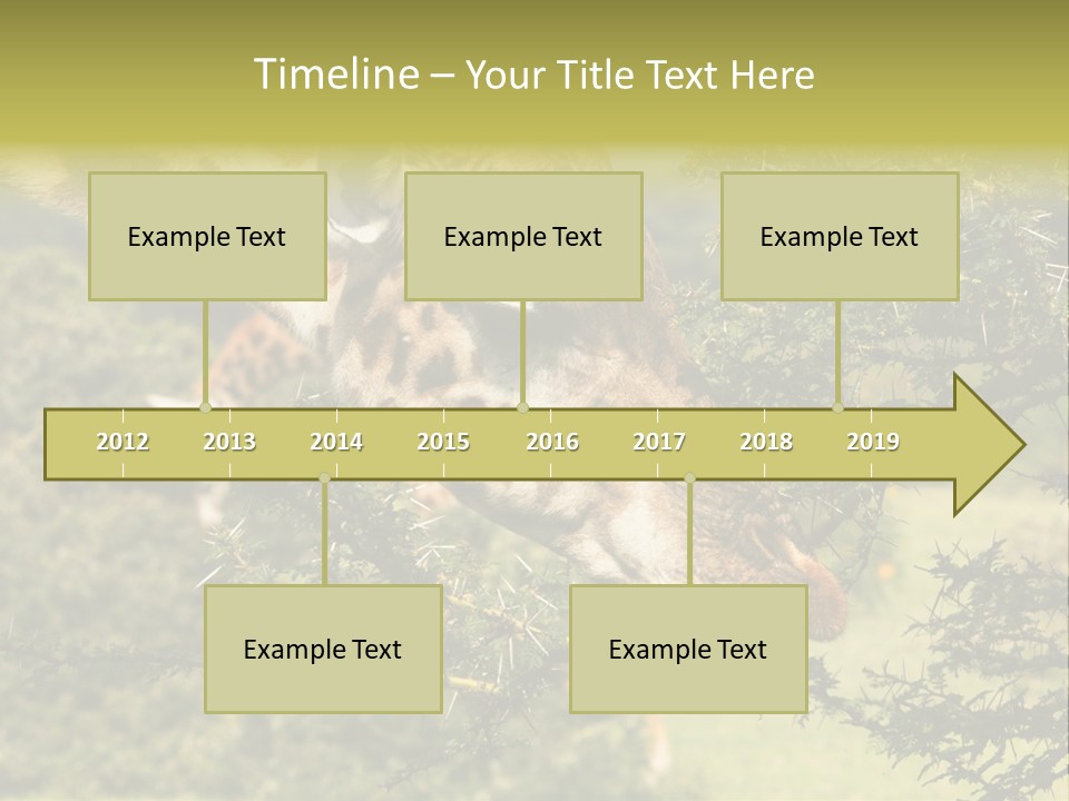 Tier Africa Big PowerPoint Template