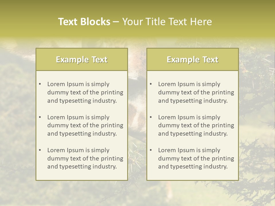 Tier Africa Big PowerPoint Template