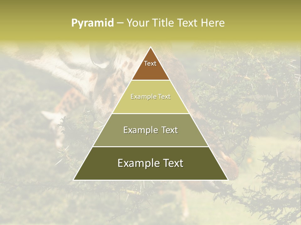 Tier Africa Big PowerPoint Template