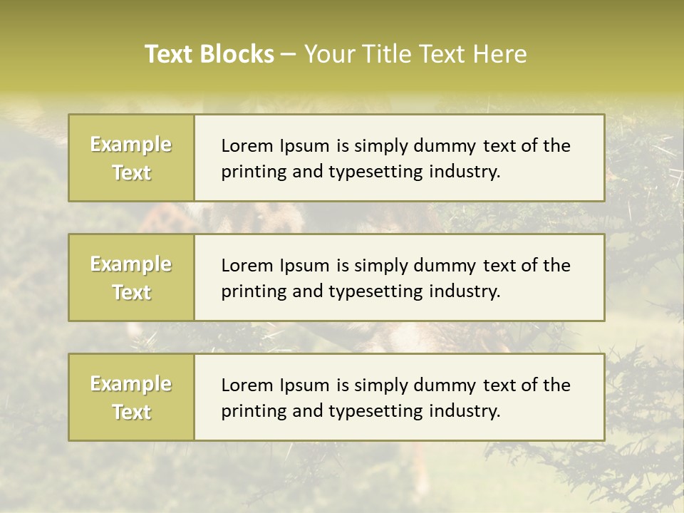 Tier Africa Big PowerPoint Template