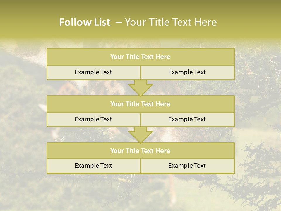 Tier Africa Big PowerPoint Template