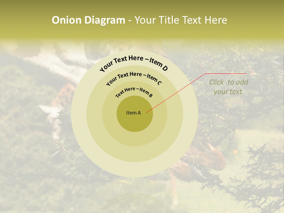 Tier Africa Big PowerPoint Template