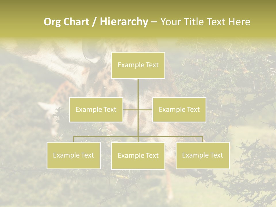 Tier Africa Big PowerPoint Template
