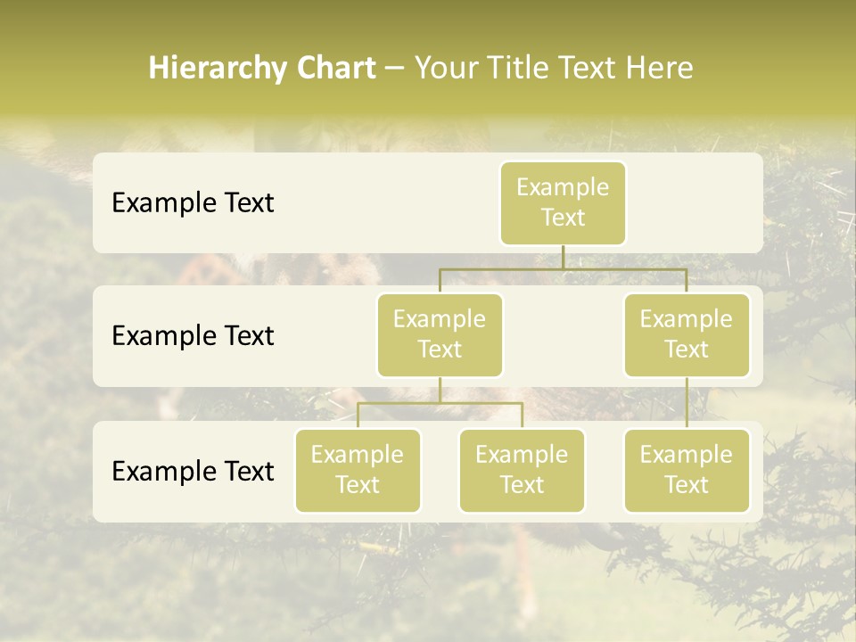 Tier Africa Big PowerPoint Template