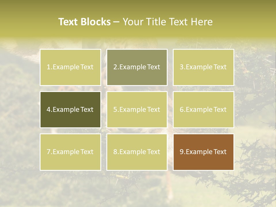 Tier Africa Big PowerPoint Template