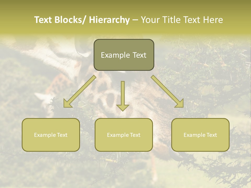Tier Africa Big PowerPoint Template