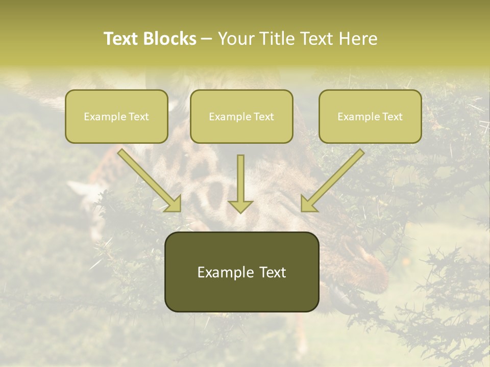 Tier Africa Big PowerPoint Template