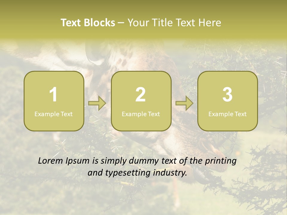 Tier Africa Big PowerPoint Template