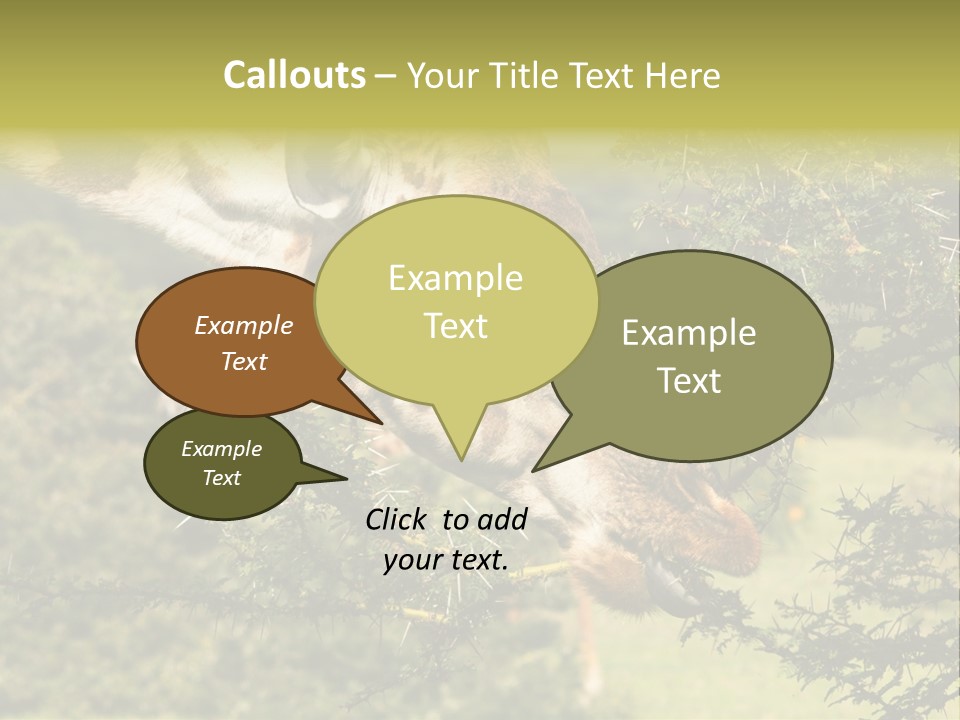 Tier Africa Big PowerPoint Template