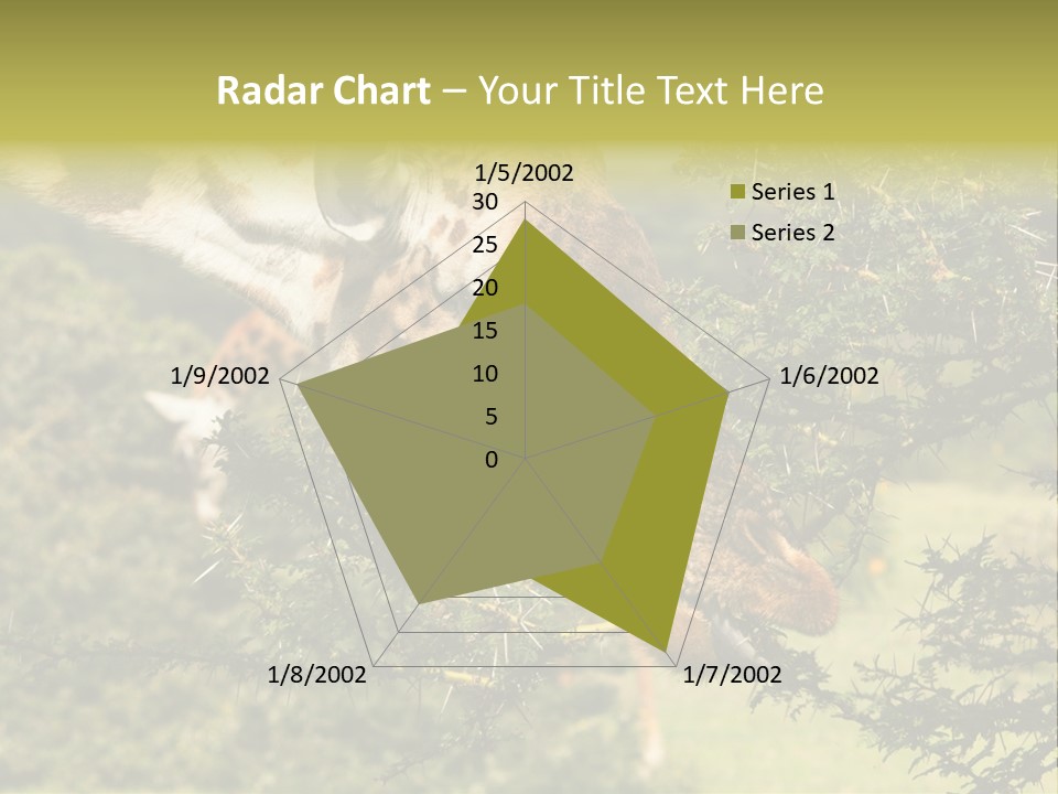 Tier Africa Big PowerPoint Template