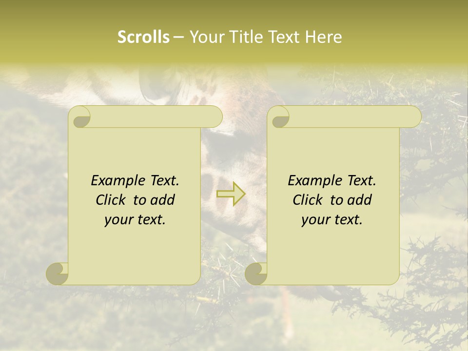 Tier Africa Big PowerPoint Template