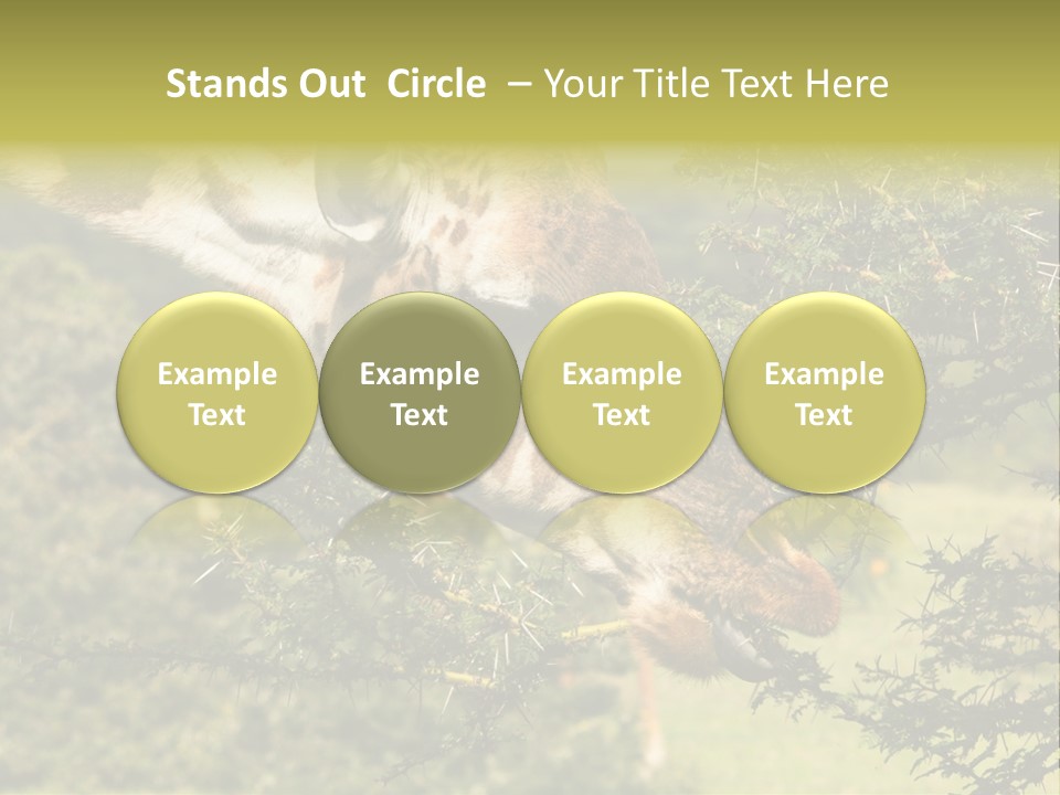 Tier Africa Big PowerPoint Template
