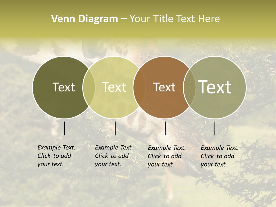 Tier Africa Big PowerPoint Template