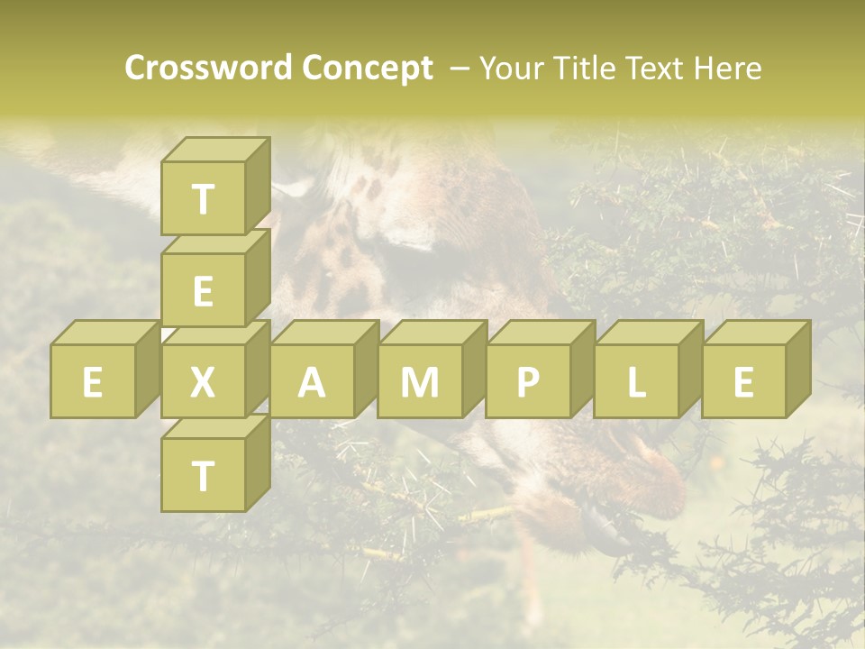 Tier Africa Big PowerPoint Template