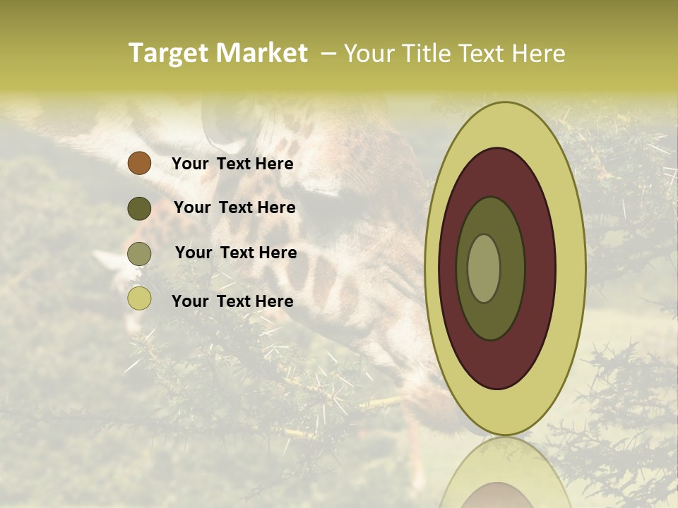 Tier Africa Big PowerPoint Template