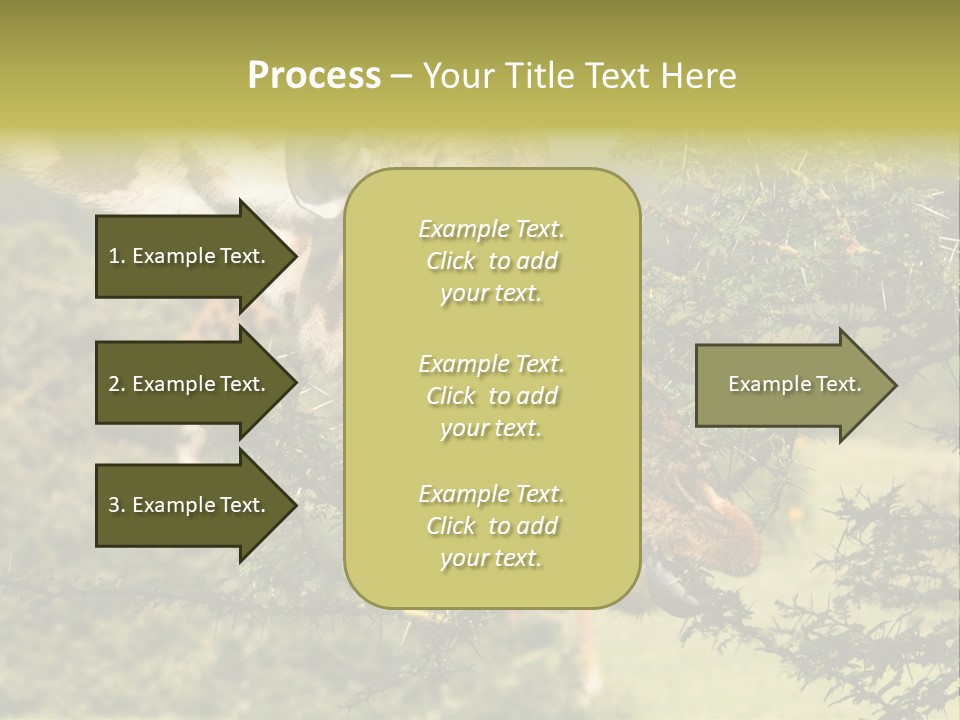 Tier Africa Big PowerPoint Template
