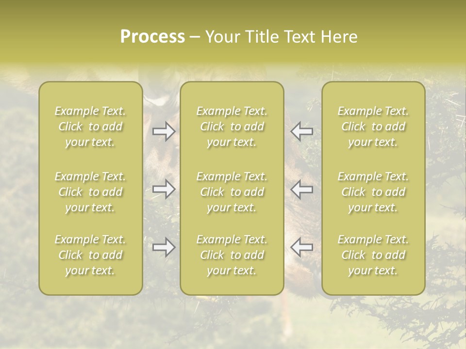 Tier Africa Big PowerPoint Template