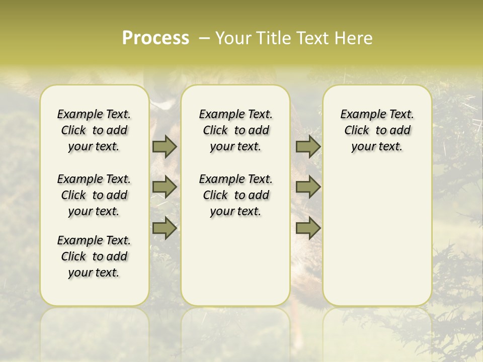 Tier Africa Big PowerPoint Template