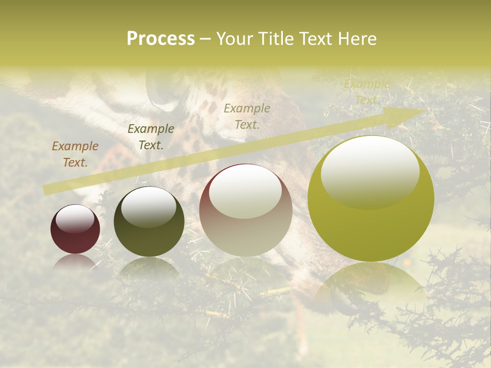 Tier Africa Big PowerPoint Template