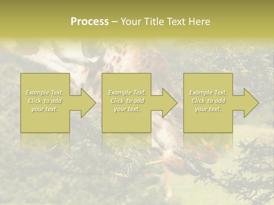 Tier Africa Big PowerPoint Template