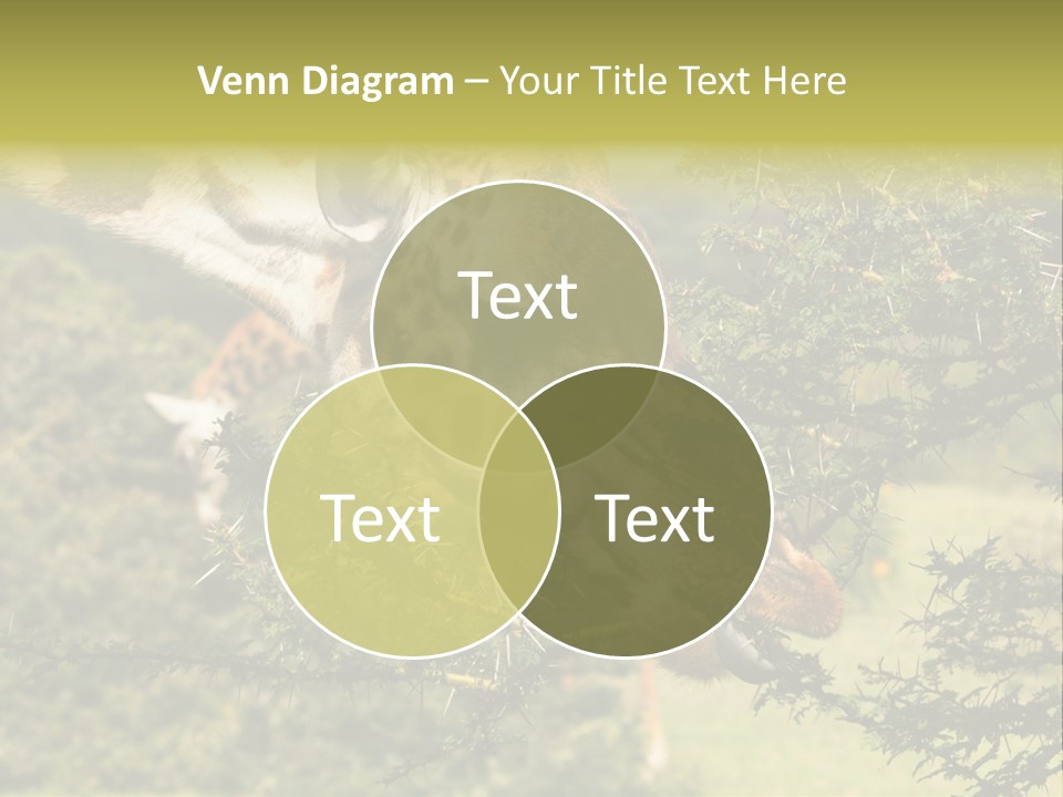 Tier Africa Big PowerPoint Template