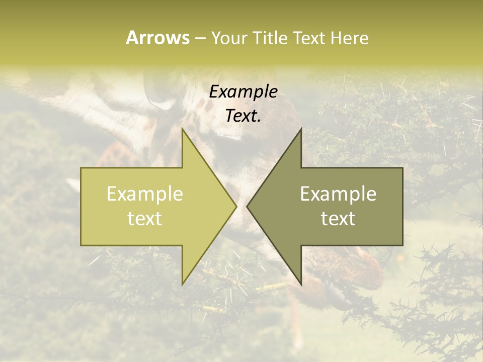 Tier Africa Big PowerPoint Template