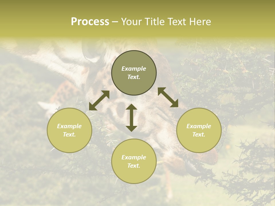 Tier Africa Big PowerPoint Template