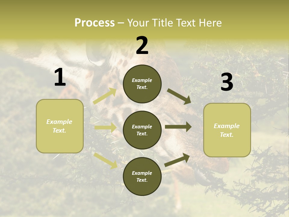 Tier Africa Big PowerPoint Template