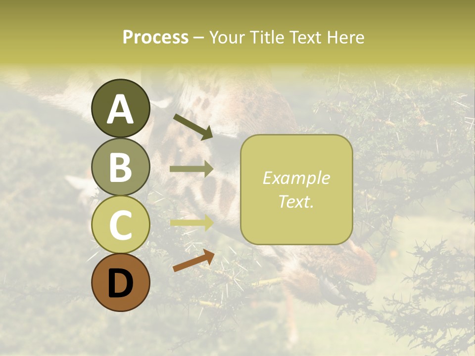 Tier Africa Big PowerPoint Template