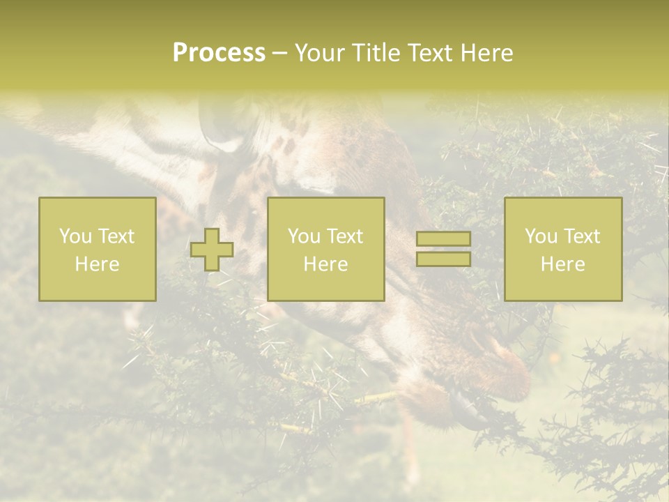 Tier Africa Big PowerPoint Template