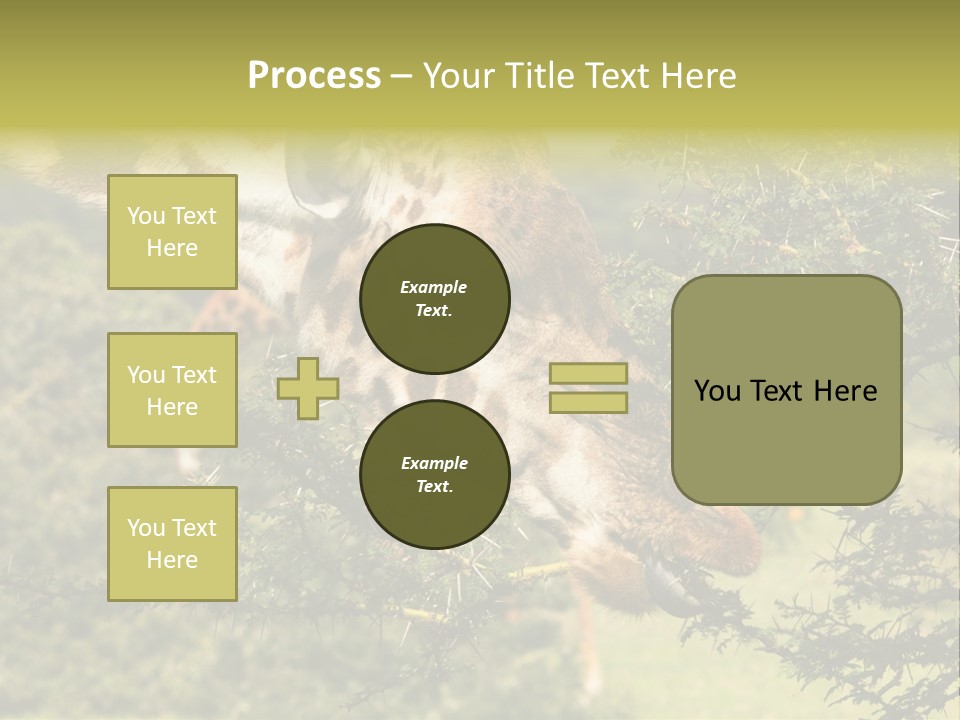 Tier Africa Big PowerPoint Template