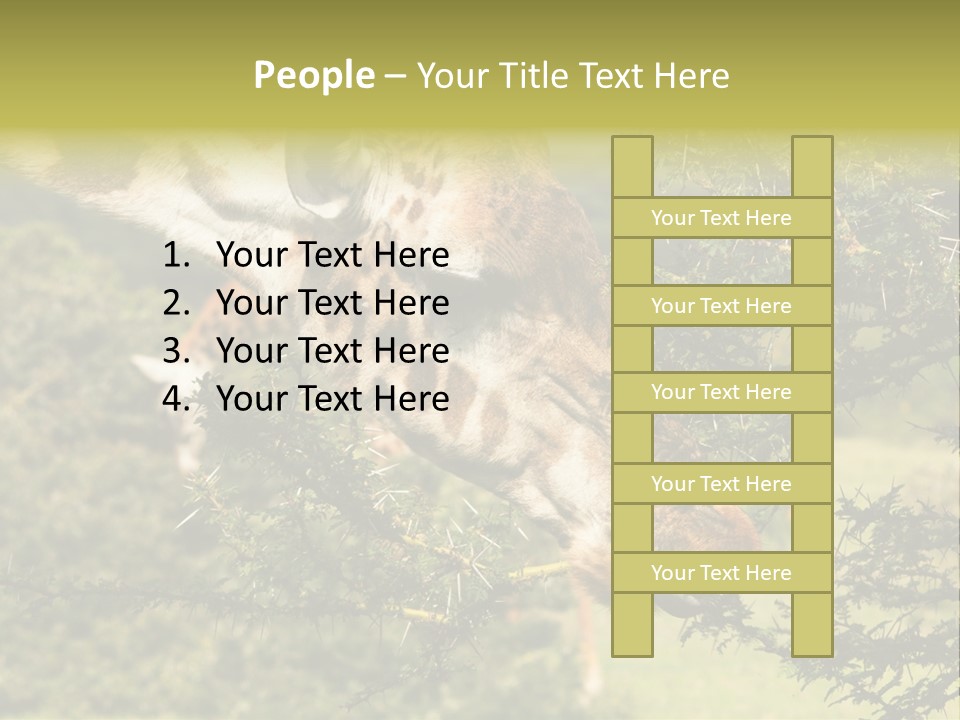 Tier Africa Big PowerPoint Template