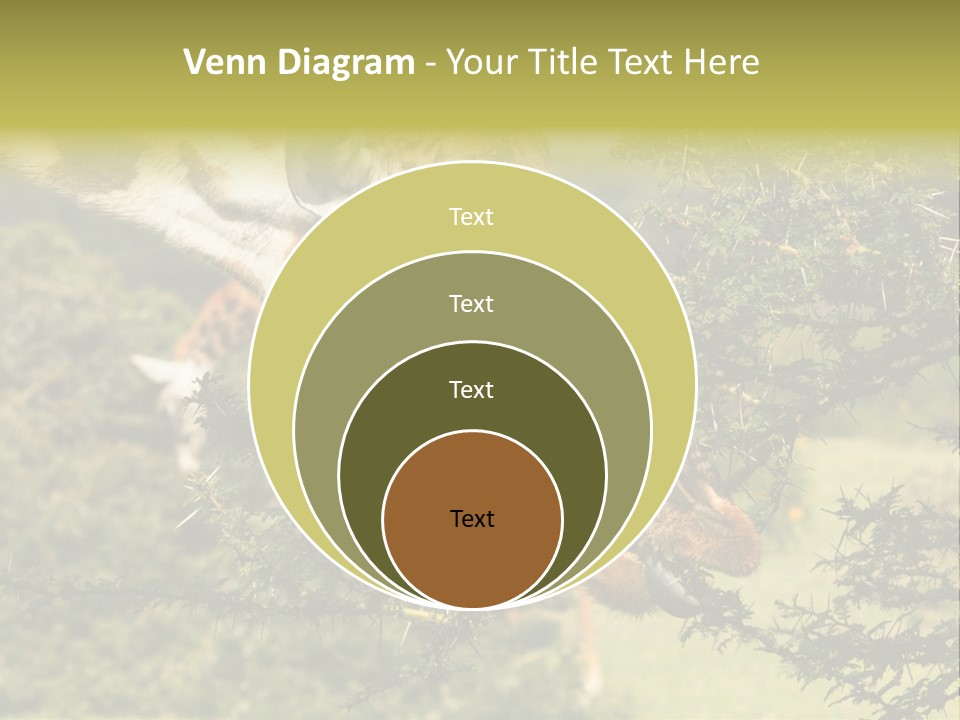Tier Africa Big PowerPoint Template