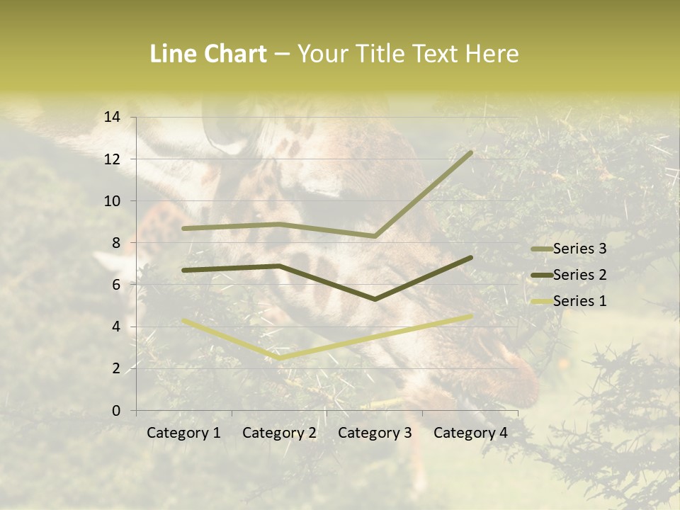 Tier Africa Big PowerPoint Template