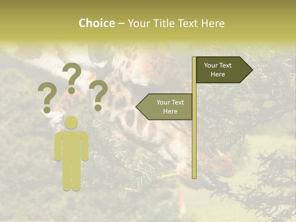 Tier Africa Big PowerPoint Template