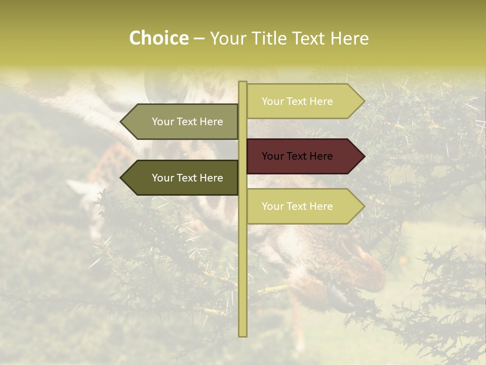 Tier Africa Big PowerPoint Template