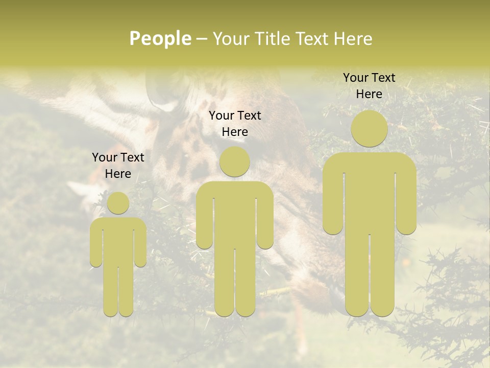 Tier Africa Big PowerPoint Template