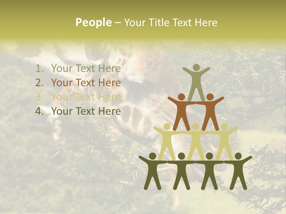 Tier Africa Big PowerPoint Template