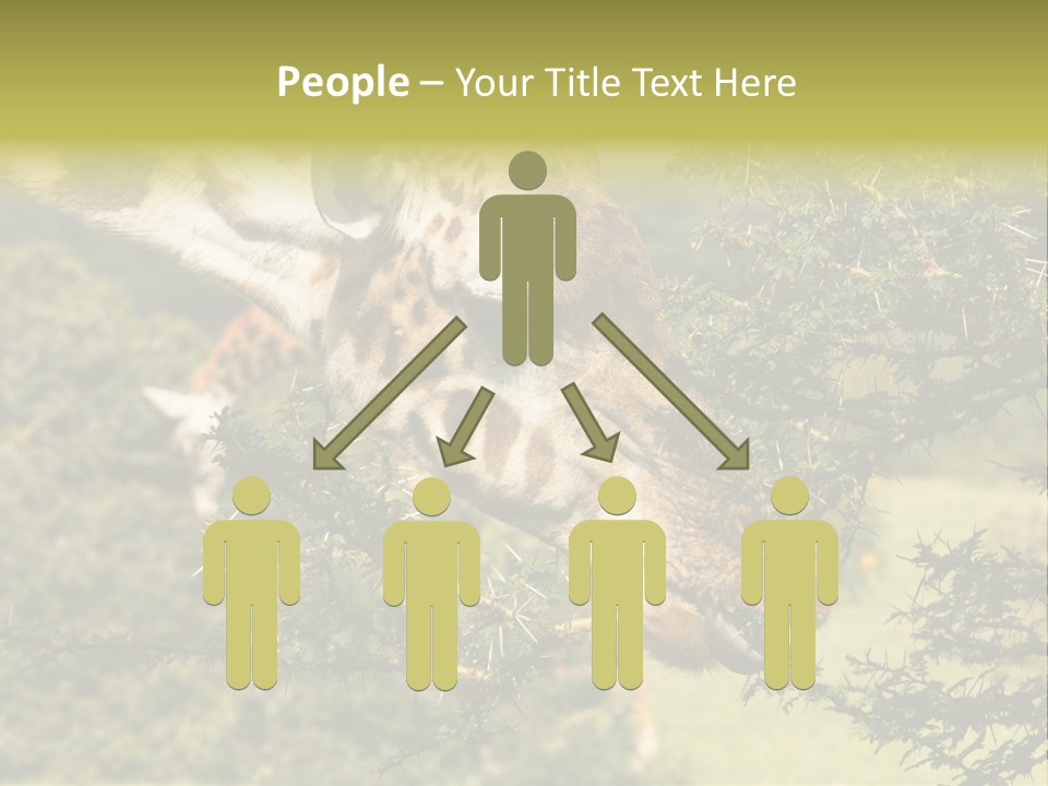 Tier Africa Big PowerPoint Template