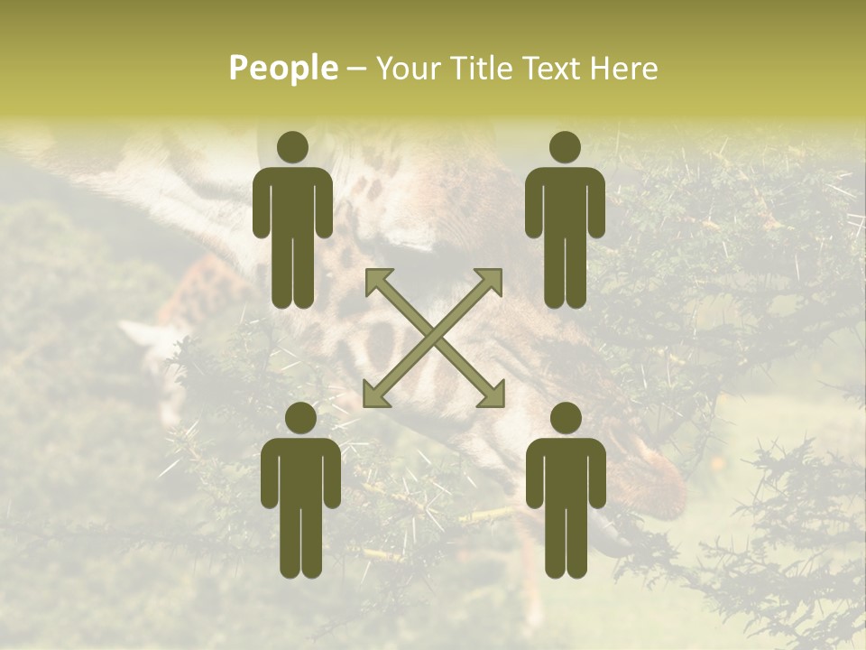 Tier Africa Big PowerPoint Template