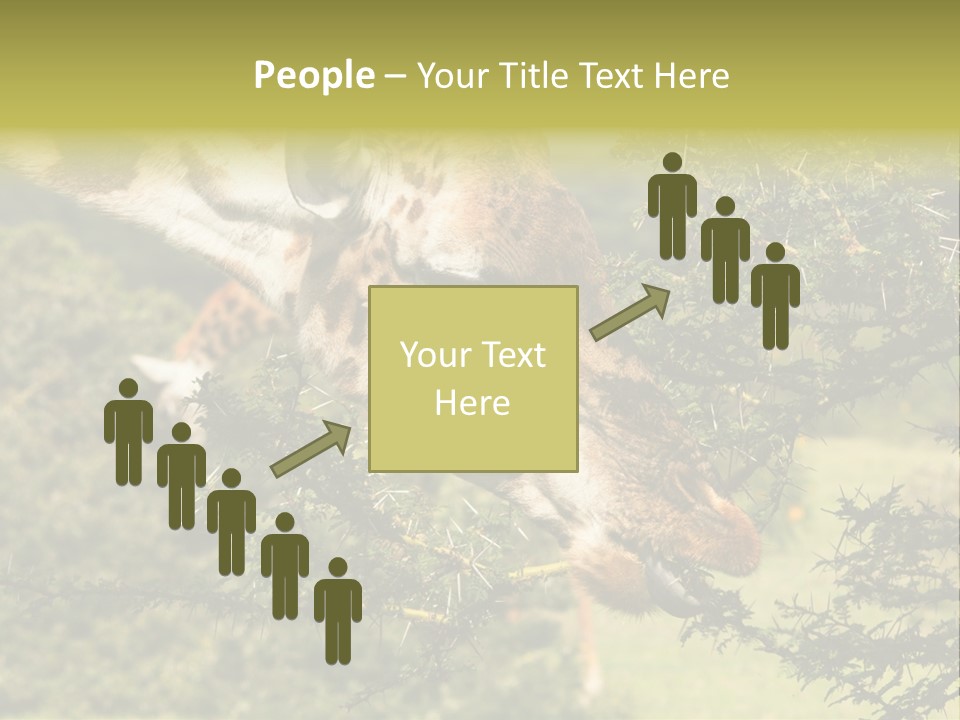 Tier Africa Big PowerPoint Template