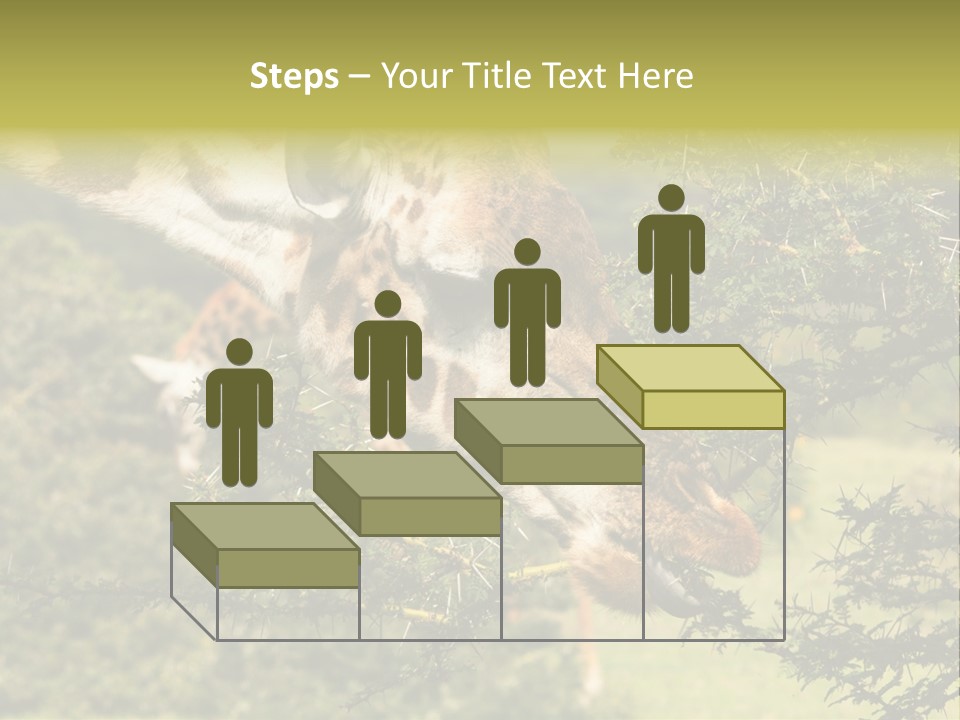 Tier Africa Big PowerPoint Template