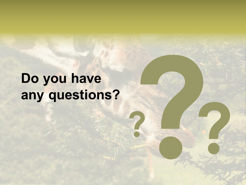 Tier Africa Big PowerPoint Template