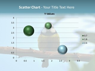 Vertebrates Ornithological Diversity PowerPoint Template