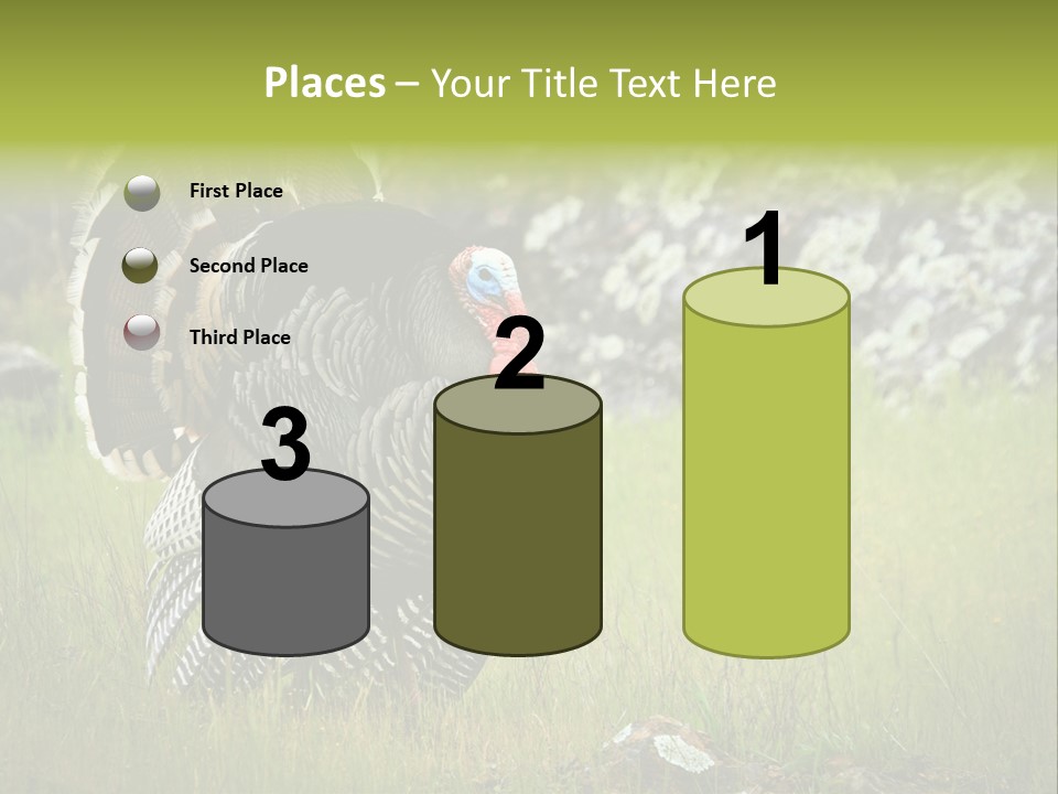 Game Gallopavo Green PowerPoint Template