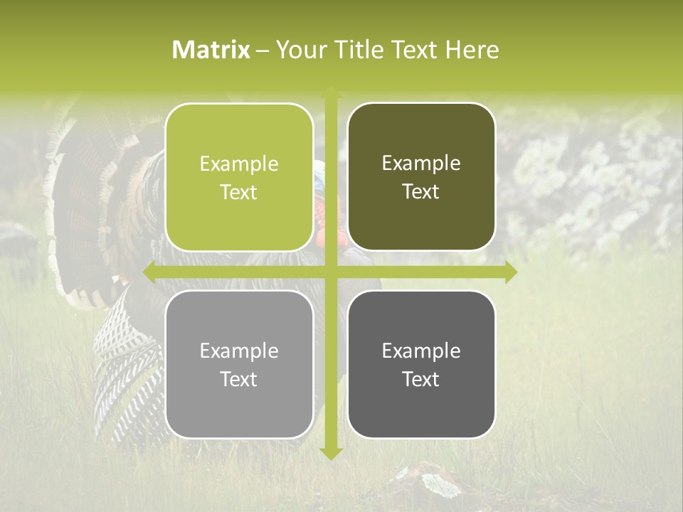 Game Gallopavo Green PowerPoint Template